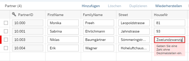 fehlermeldung-format_Datenerfassung 