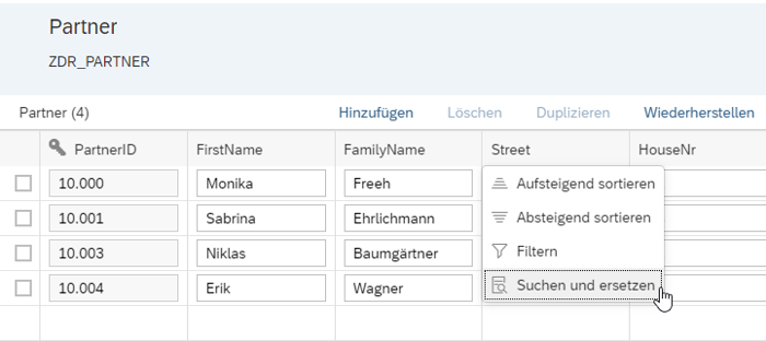 suchen-und-ersetzen_Datenerfassung 
