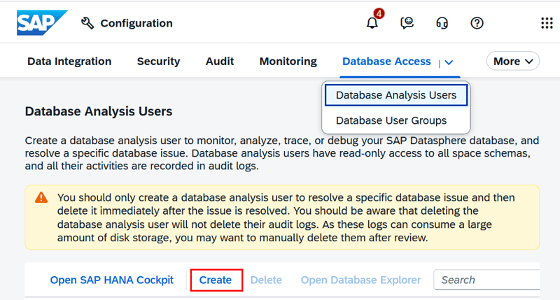 SAP-Datasphere-database-analysis-user