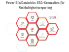 Power BI & Databricks: ESG-Kennzahlen für Nachhaltigkeitsreporting