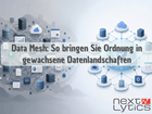 Data Mesh: So bringen Sie Ordnung in gewachsene Datenlandschaften