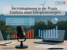 Vertriebsplanung in der Praxis - Einblicke eines Energieversorgers