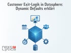 Customer Exit-Logik in Datasphere: Dynamic Defaults erklärt