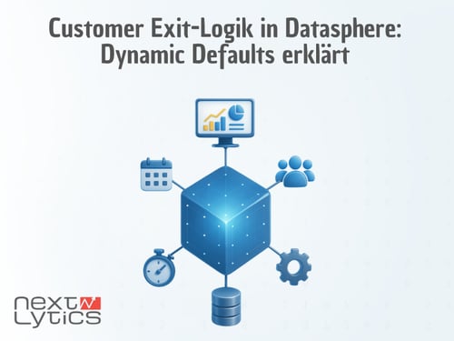 Customer Exit-Logik in Datasphere: Dynamic Defaults erklärt