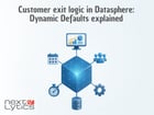 Customer exit logic in Datasphere: Dynamic Defaults explained