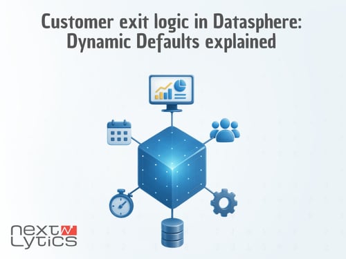 Customer exit logic in Datasphere: Dynamic Defaults explained