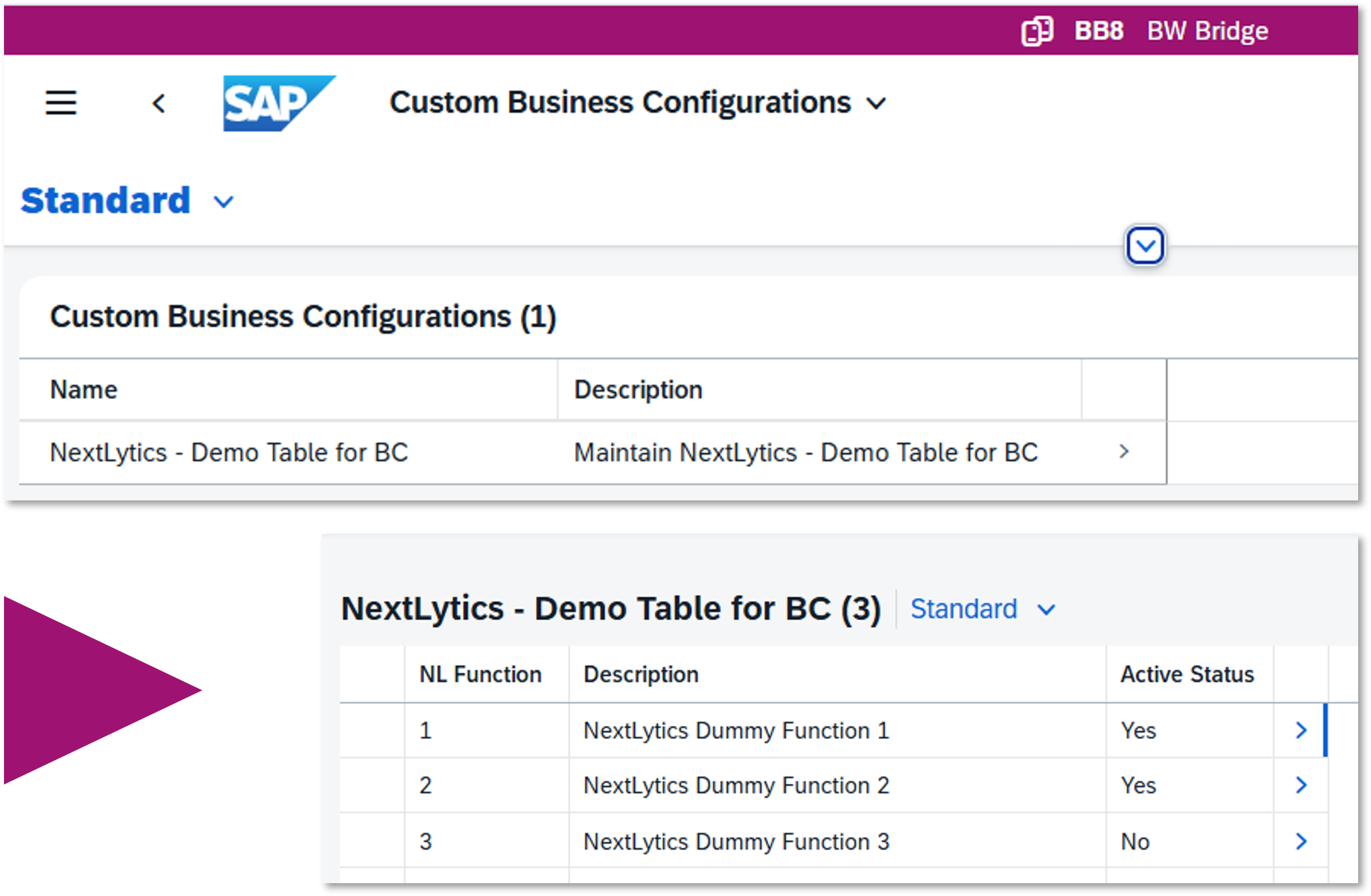 SAP Custome Business Configurations