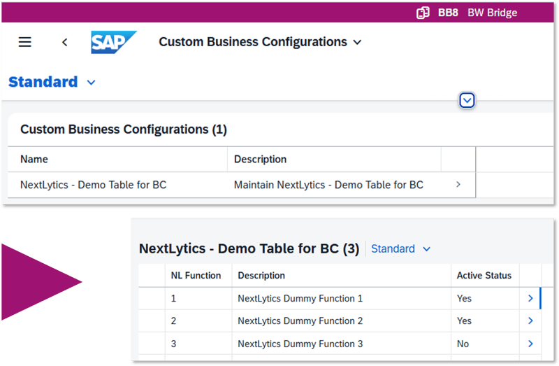 SAP Custom Business Configurations