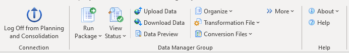 08-data-manager-group_SAP BPC