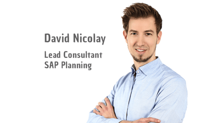 David Nicolay Lead Consultant SAP Planning