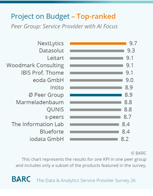 Project-on-Budget - Service Provider with AI Focus