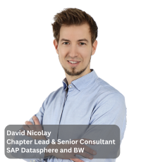 2025-11_Webinar_DataPlattformen_David_Bild
