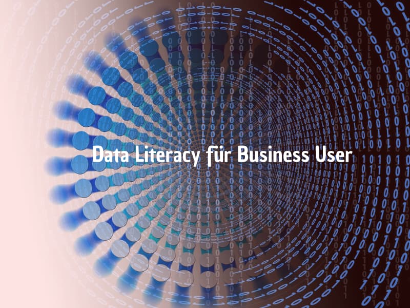 Data Literacy für Business User